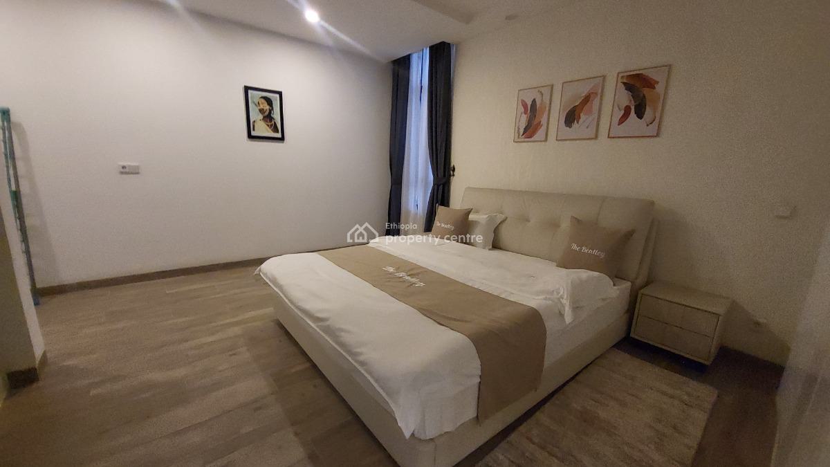 Luxury Fully Furnished High-end Expat Flat in Bole, Gabon Street, Bole, Addis Ababa, Self Contained (single Rooms) for Rent