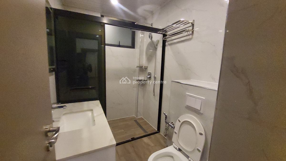 Luxury Fully Furnished High-end Expat Flat in Bole, Gabon Street, Bole, Addis Ababa, Self Contained (single Rooms) for Rent