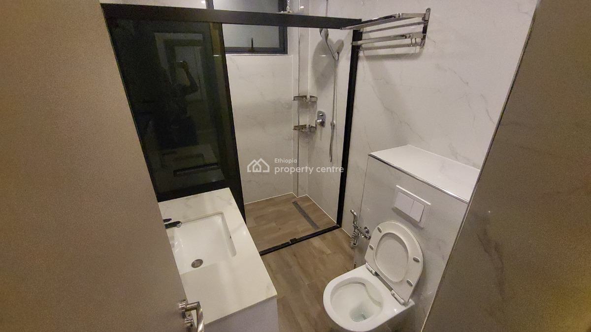 Luxury Fully Furnished High-end Expat Flat in Bole, Gabon Street, Bole, Addis Ababa, Self Contained (single Rooms) for Rent