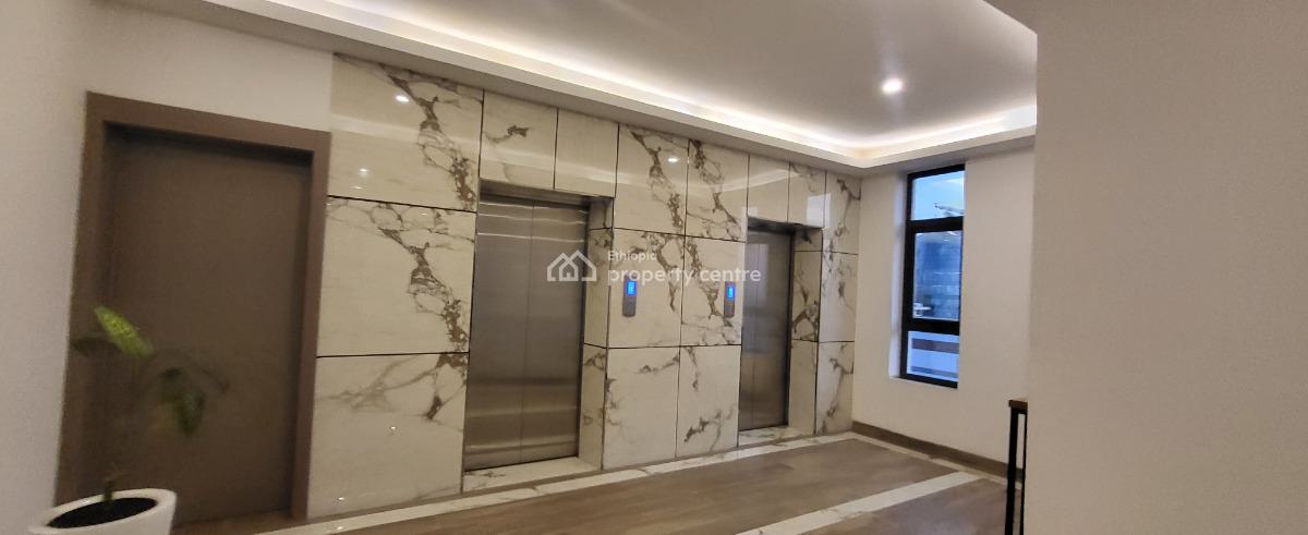 Luxury Fully Furnished High-end Expat Flat in Bole, Gabon Street, Bole, Addis Ababa, Self Contained (single Rooms) for Rent