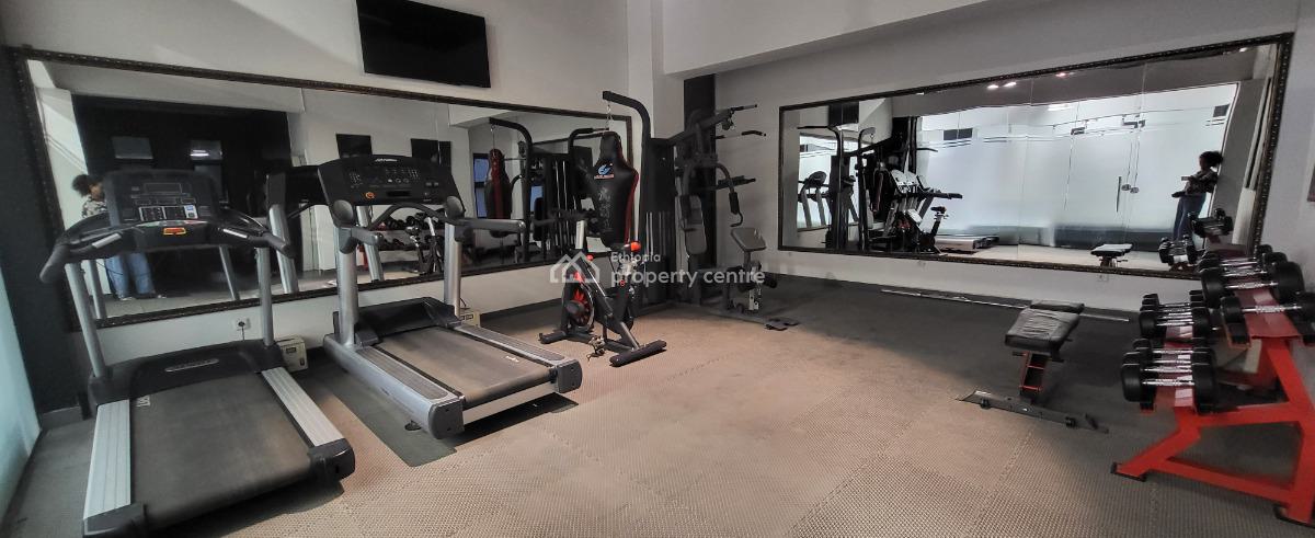 Luxury Fully Furnished High-end Expat Flat in Bole, Gabon Street, Bole, Addis Ababa, Self Contained (single Rooms) for Rent