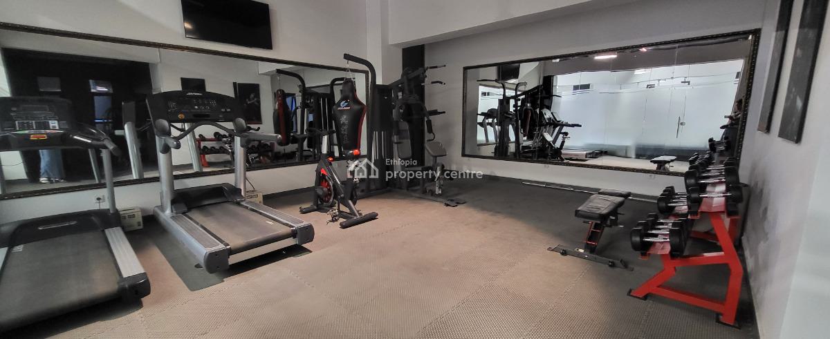 Luxury Fully Furnished High-end Expat Flat in Bole, Gabon Street, Bole, Addis Ababa, Self Contained (single Rooms) for Rent