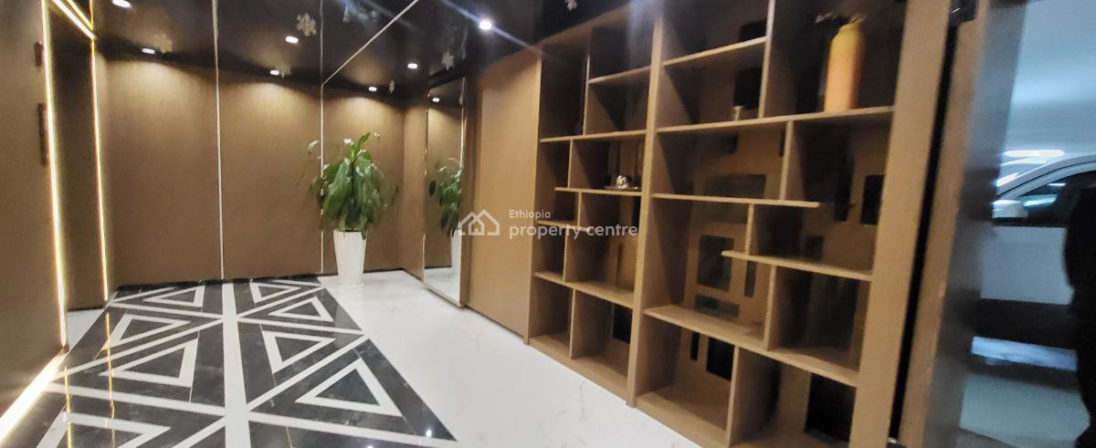 Luxury Fully Furnished High-end Expat Flat in Bole, Gabon Street, Bole, Addis Ababa, Self Contained (single Rooms) for Rent