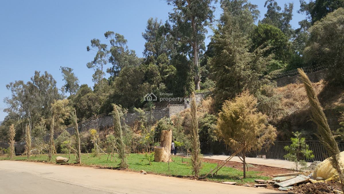 Exclusive Family Villa at Kebena, Kebena, Yeka, Addis Ababa, House for Rent