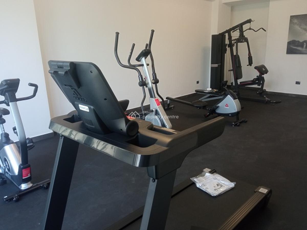 Top Ranked, New and The Most Luxurious Apartment, El849., Bole, Addis Ababa, Apartment for Rent