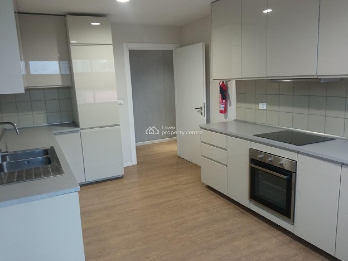 an Exclusive and a Rare Find 3 Bed Room Fully Furnished  Apartment!, Bole, Addis Ababa, Apartment for Rent