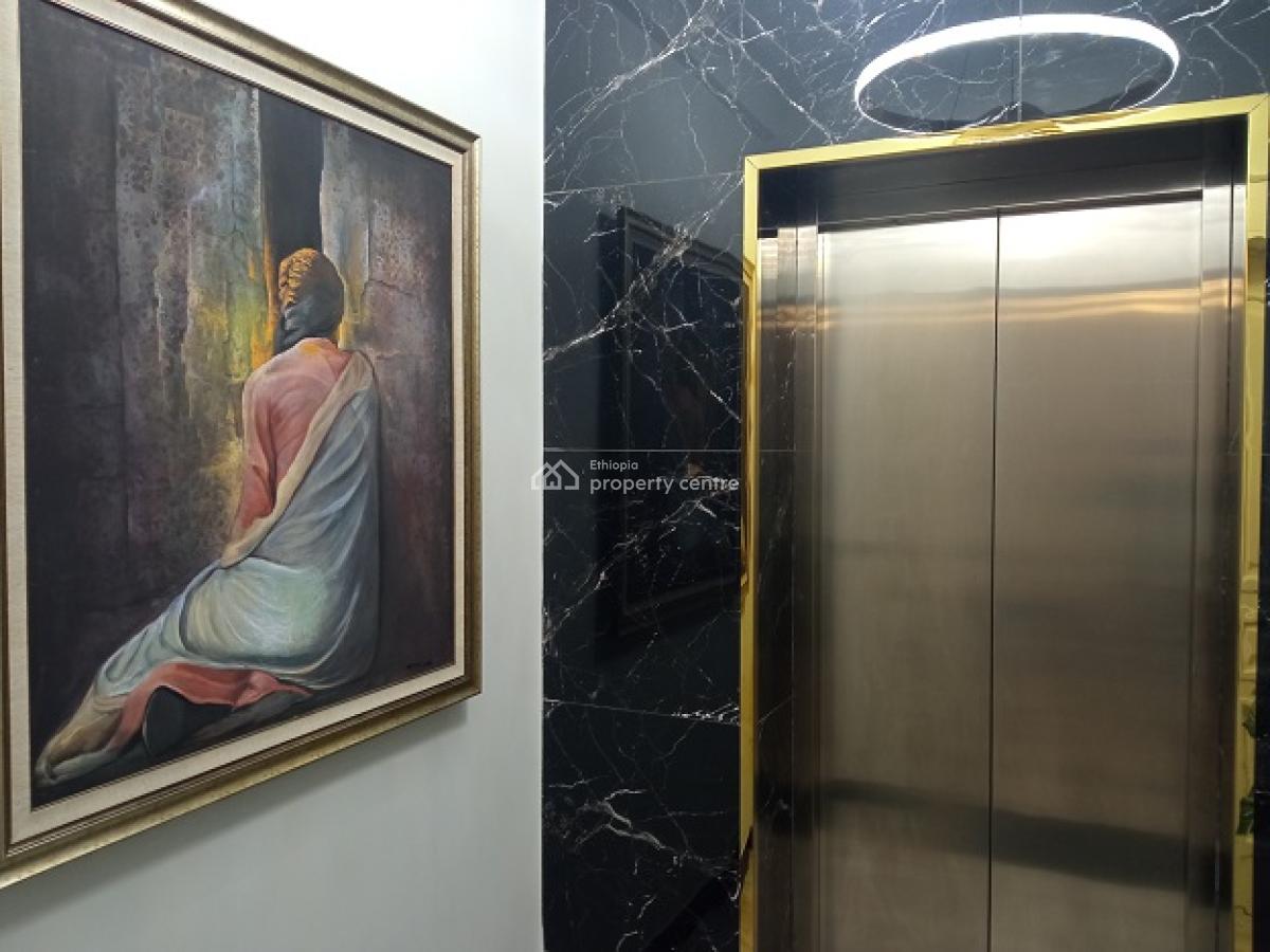 Top Standard, New and Fully Furnished 3bd Apartment!, Bole, Addis Ababa, Apartment for Rent