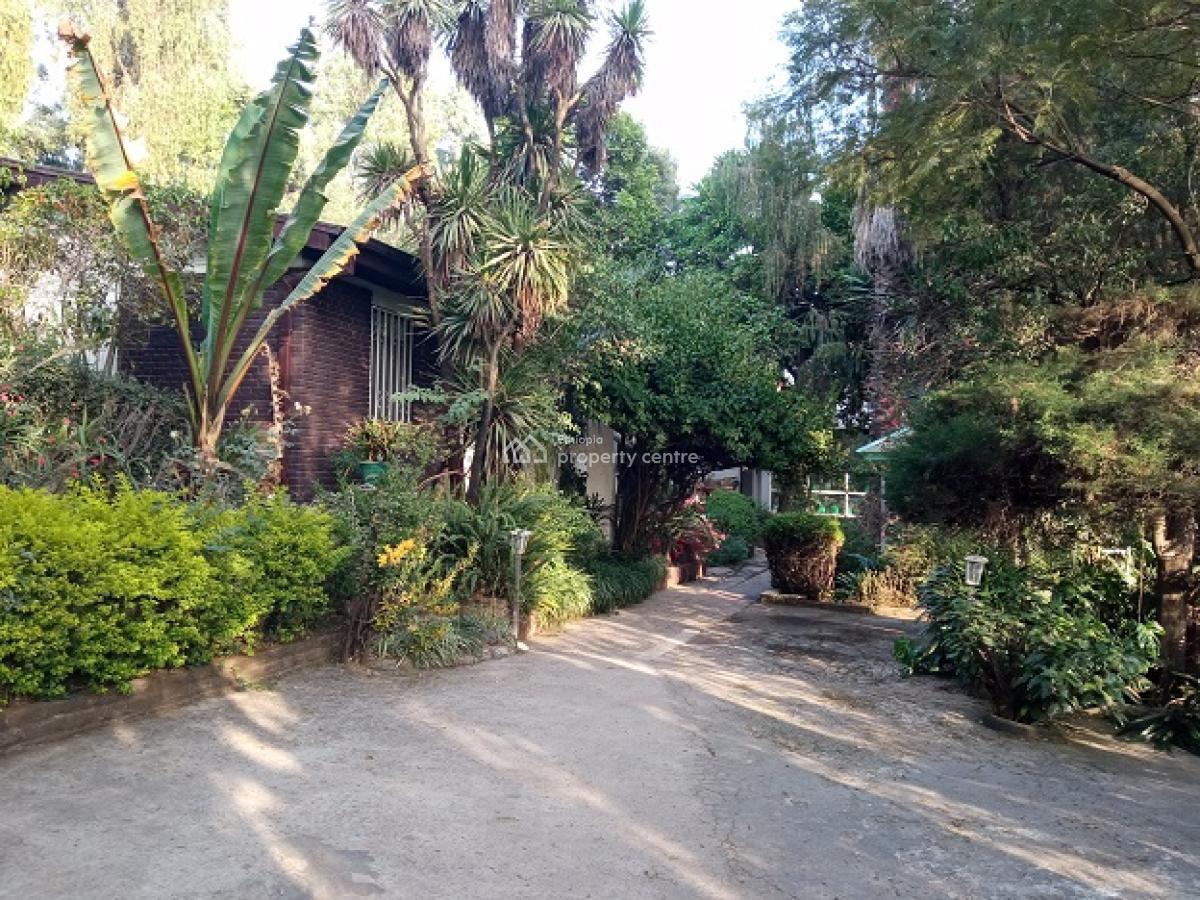 a Small House in a Mini Forest Having Mature Trees!, Yeka, Addis Ababa, House for Rent