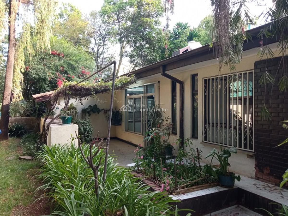 a Small House in a Mini Forest Having Mature Trees!, Yeka, Addis Ababa, House for Rent