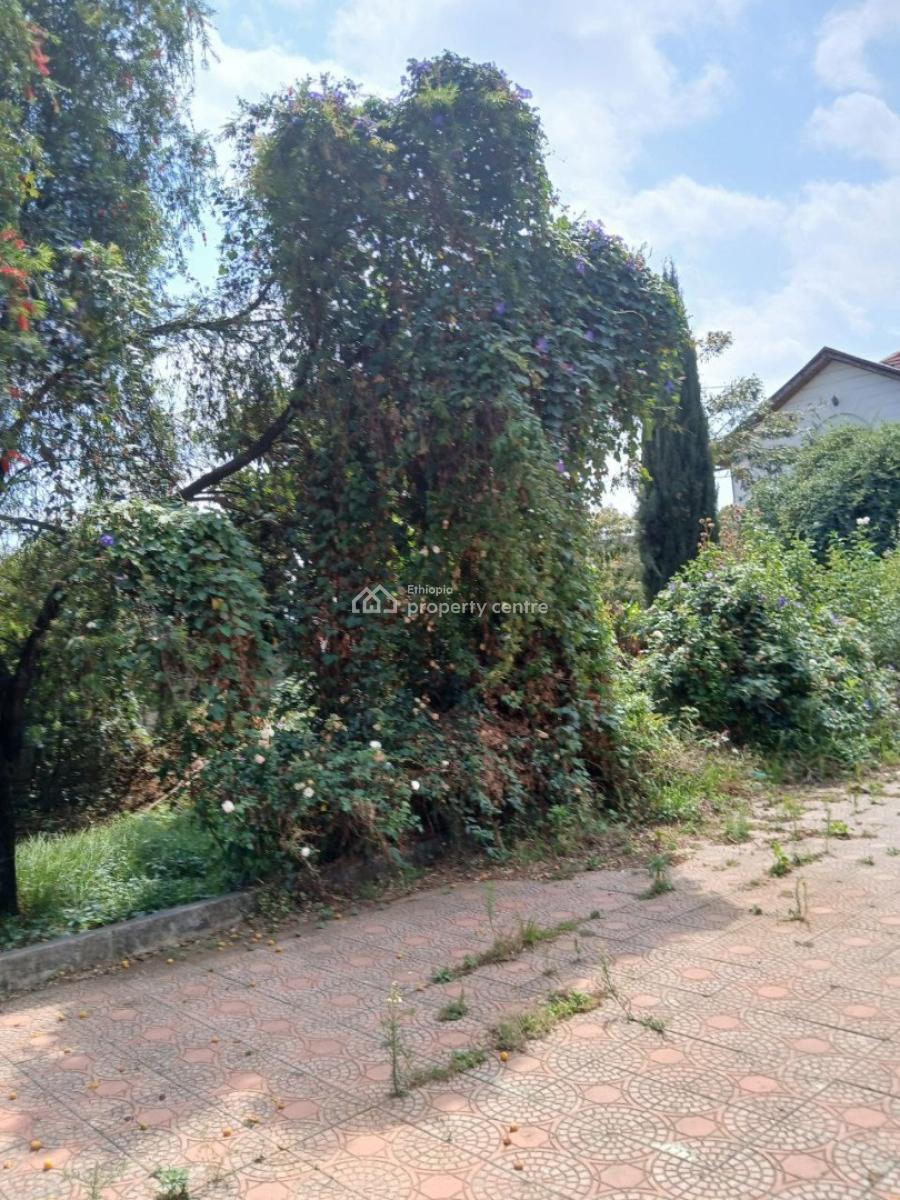 1500 Msq Old House @ British Embassy, British Embassy, Yeka, Addis Ababa, Land for Sale