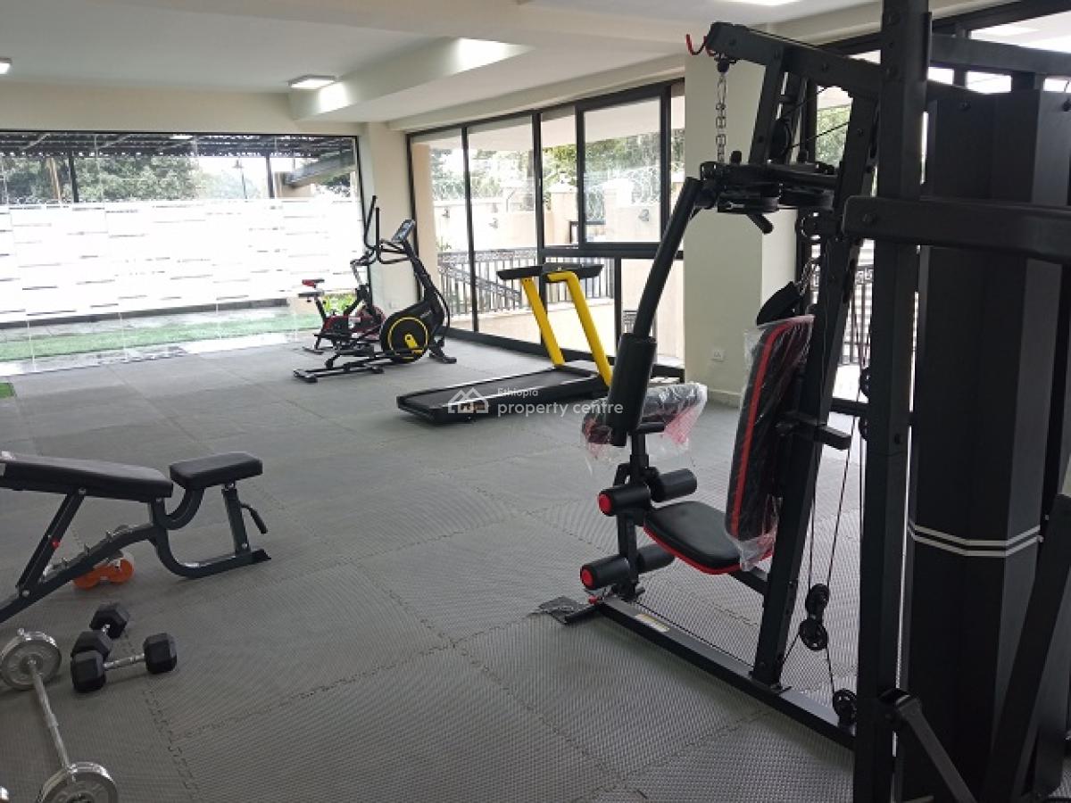 Exceptional and Exclusive 3bed Room Apartment, Nearby German School., Kazanchis, Addis Ababa, Apartment for Rent