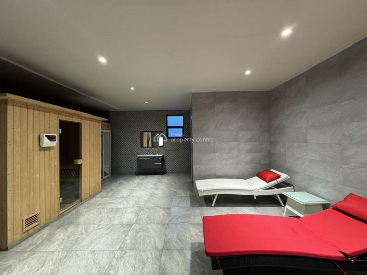 Well-lighted,brilliantly Completed Apt, Close By Old Airport (near Au), Bole, Addis Ababa, Apartment for Rent