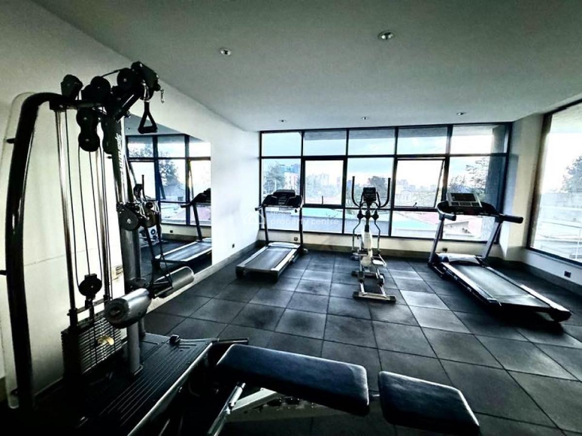 Well-lighted,brilliantly Completed Apt, Close By Old Airport (near Au), Bole, Addis Ababa, Apartment for Rent