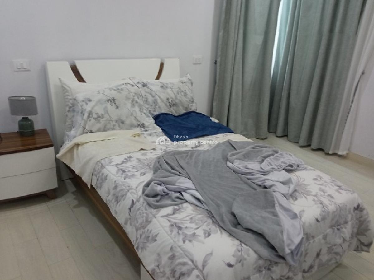 a Classy and Fully Furnished 2 Bd Apartment, Kazanchis (un Eca)., Kazanchis, Addis Ababa, Apartment for Rent