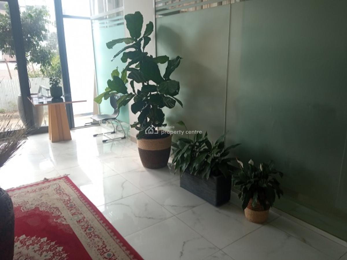 Clean, Bright and Fairly Priced 2bd Apartment, El852., Kazanchis, Addis Ababa, Apartment for Rent
