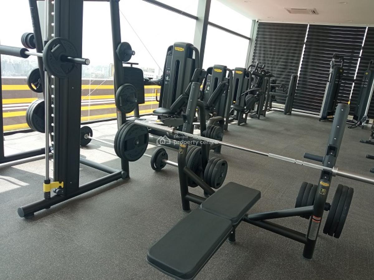 Most Luxurious, High End Apartments with a Swimming Pool, Bole, Addis Ababa, Apartment for Rent