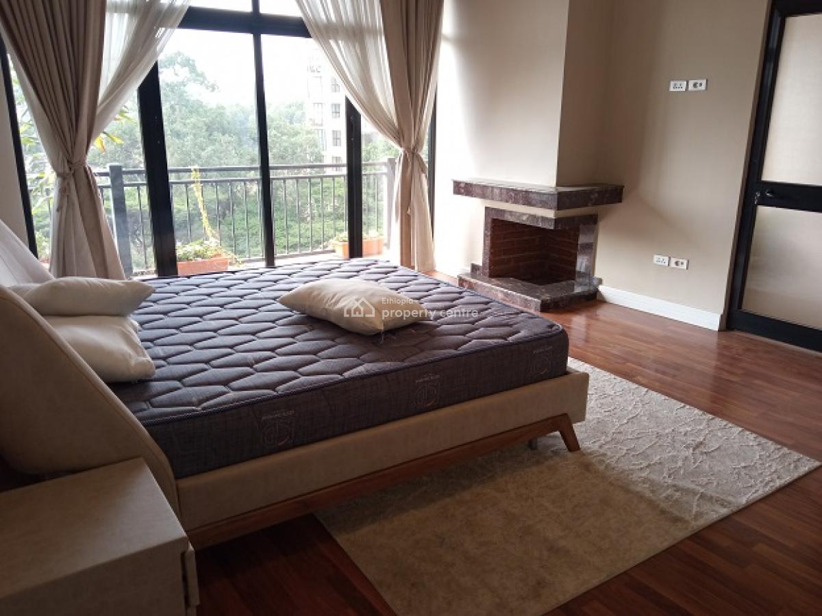 Super! Penthouse with a Fire Place and Nice View in Bole., Bole, Addis Ababa, Apartment for Rent