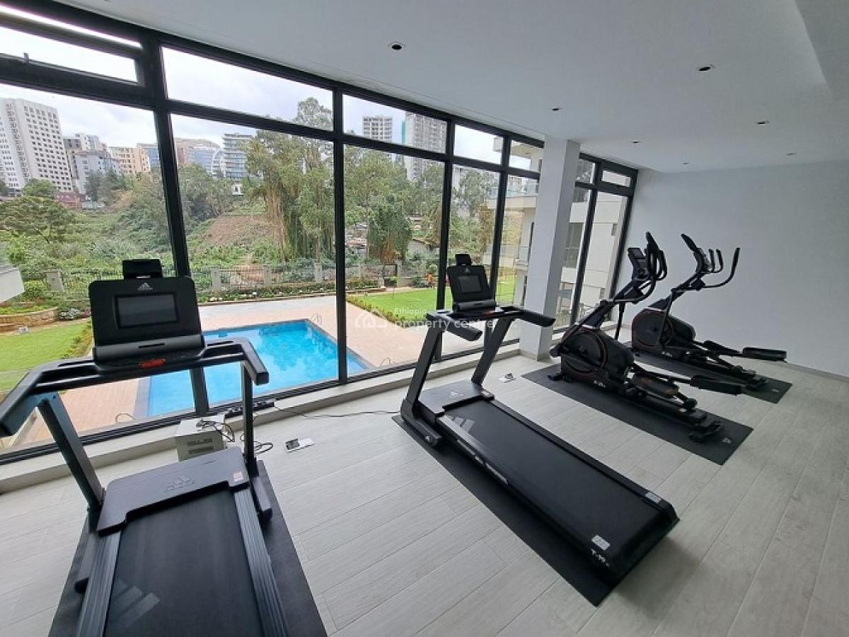 Super Cute! Fully Furnished and Highly Secured 3 Bd Apartment., Bole, Addis Ababa, Apartment for Rent