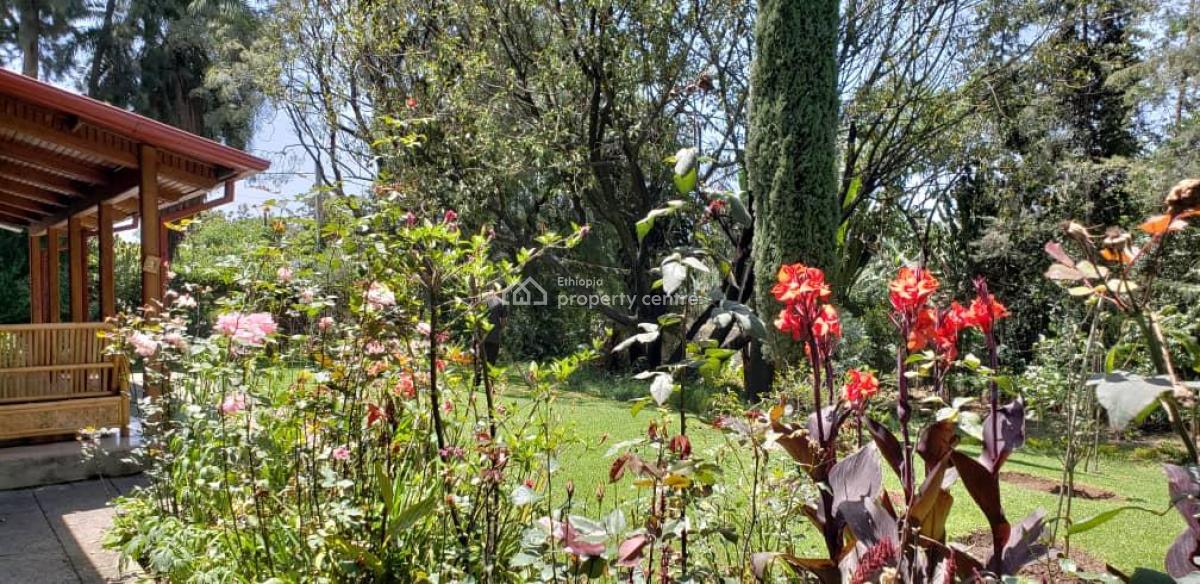 Elegant Villa with Expansive Garden in Lancha Addis Ababa Ethiopa, Lancha Or Near Meskel Flower, Kirkos, Addis Ababa, Semi-detached Bungalow for Rent