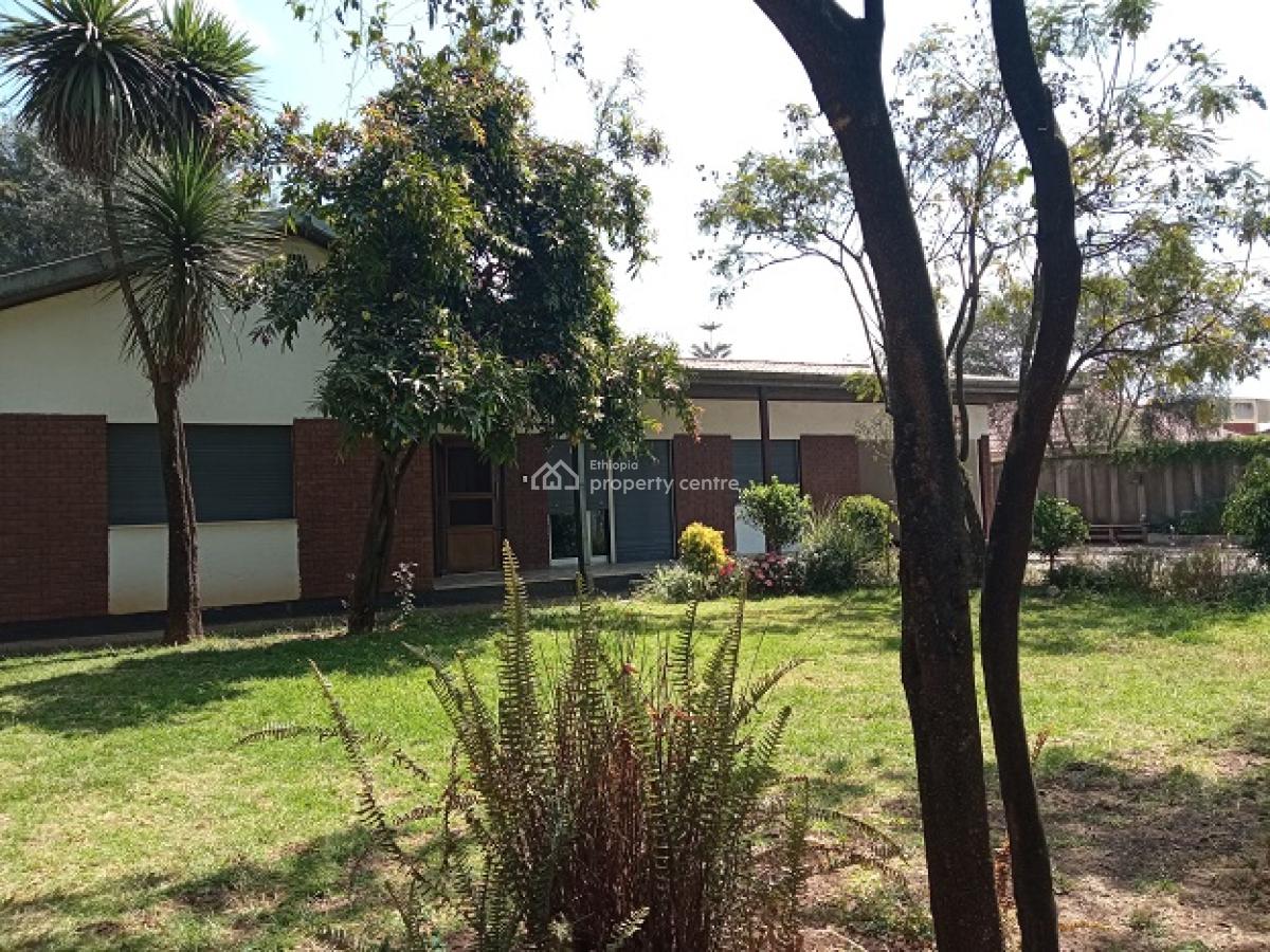 (old + Great) Villa, (front + Back) Garden, at Megenagna, Bole, Addis Ababa, House for Rent