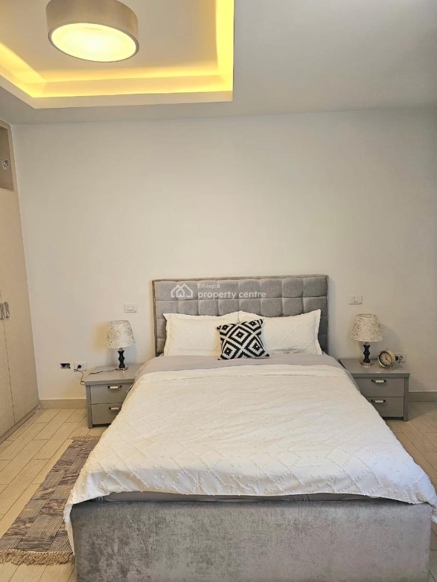 Bright & Beautiful Furnished Apartment  Mexico, Addis Abab, Mexico, Kirkos, Addis Ababa, Self Contained (single Rooms) for Rent