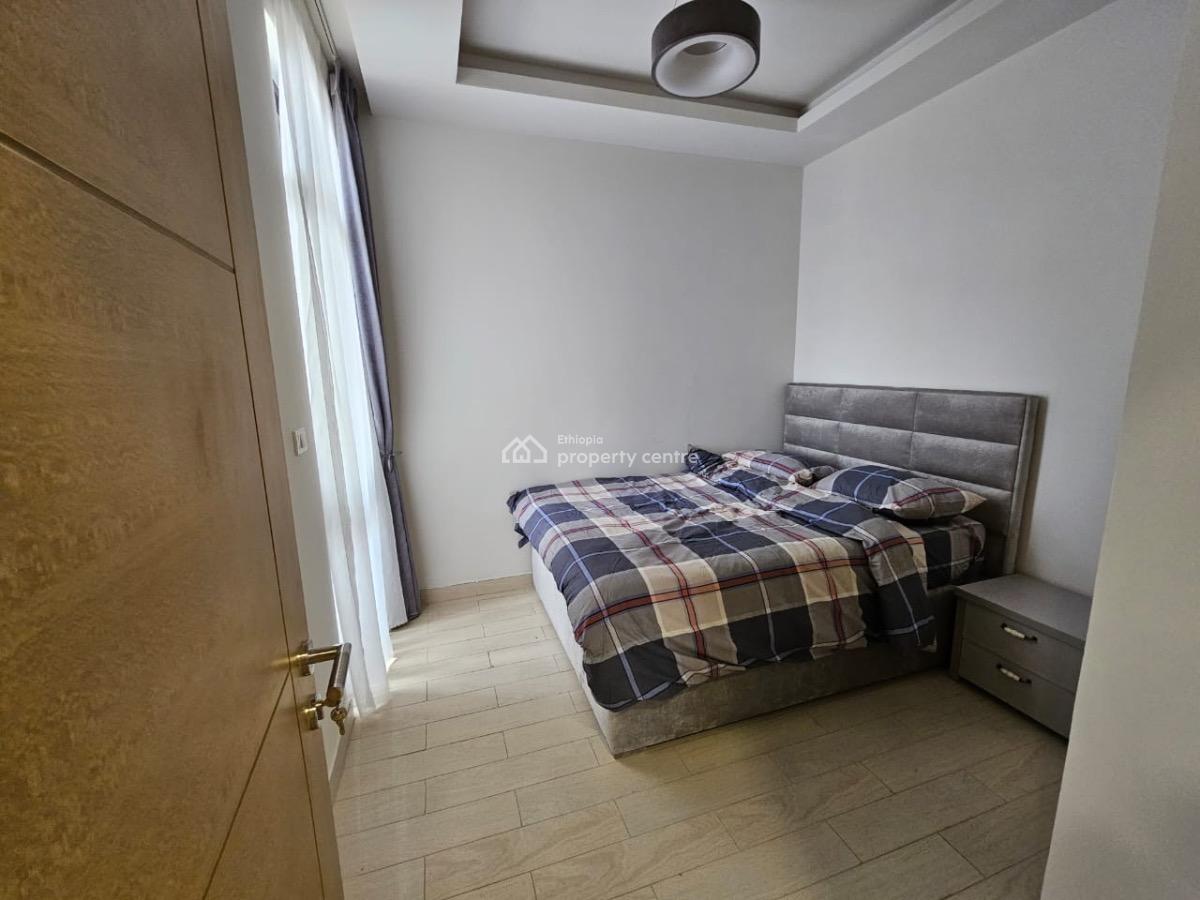 Bright & Beautiful Furnished Apartment  Mexico, Addis Abab, Mexico, Kirkos, Addis Ababa, Self Contained (single Rooms) for Rent