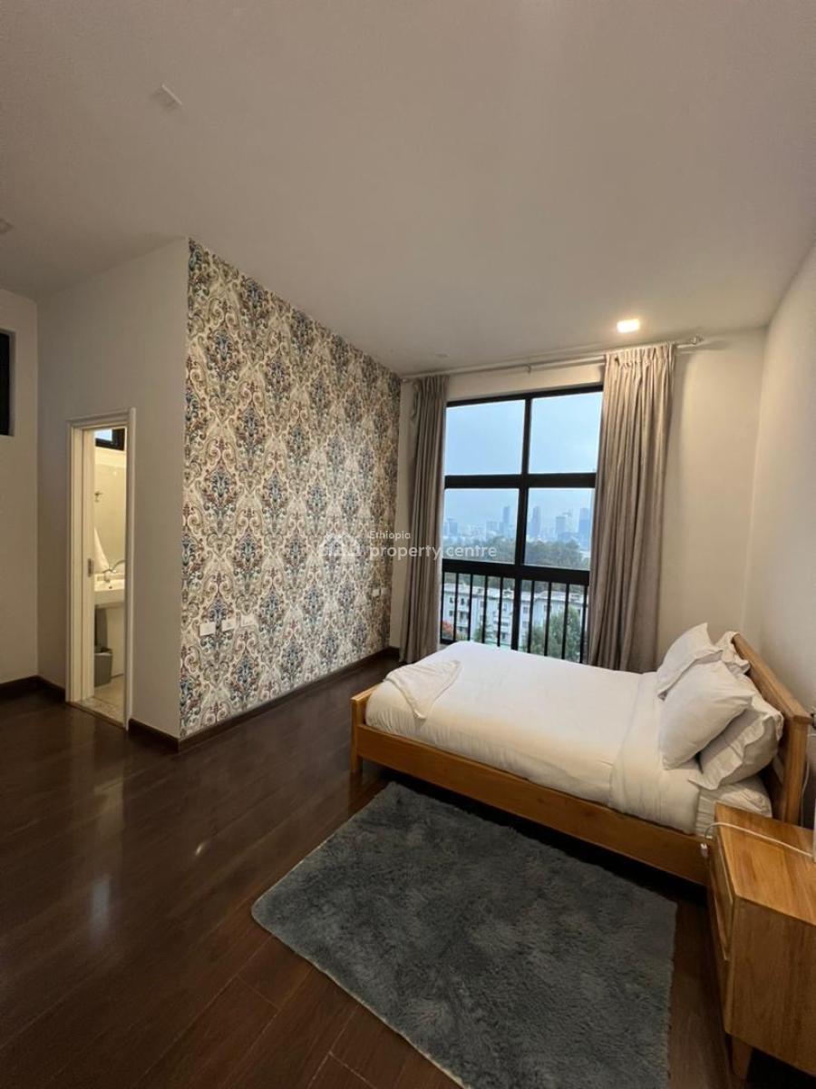 Elegant Expat-standard Apartment  -- Kasanchis, Addis Ababa, Kazanchis Near Eca, Kirkos, Addis Ababa, Self Contained (single Rooms) for Rent