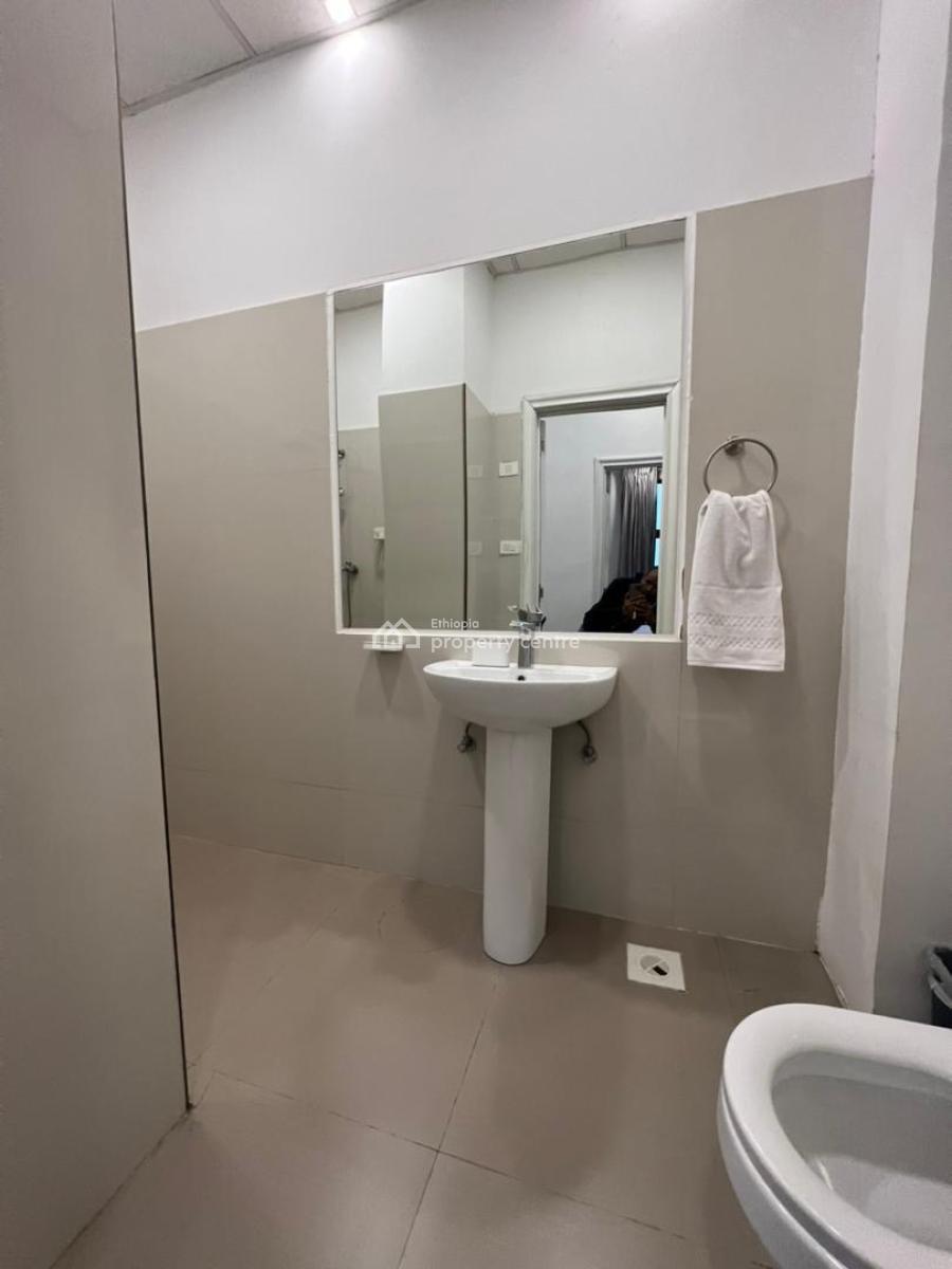 Elegant Expat-standard Apartment  -- Kasanchis, Addis Ababa, Kazanchis Near Eca, Kirkos, Addis Ababa, Self Contained (single Rooms) for Rent