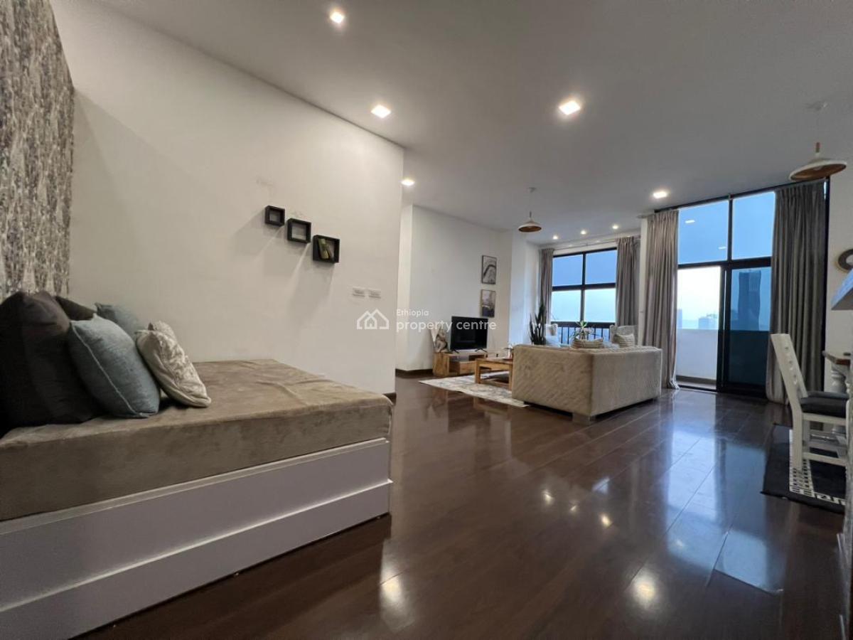 Elegant Expat-standard Apartment  -- Kasanchis, Addis Ababa, Kazanchis Near Eca, Kirkos, Addis Ababa, Self Contained (single Rooms) for Rent