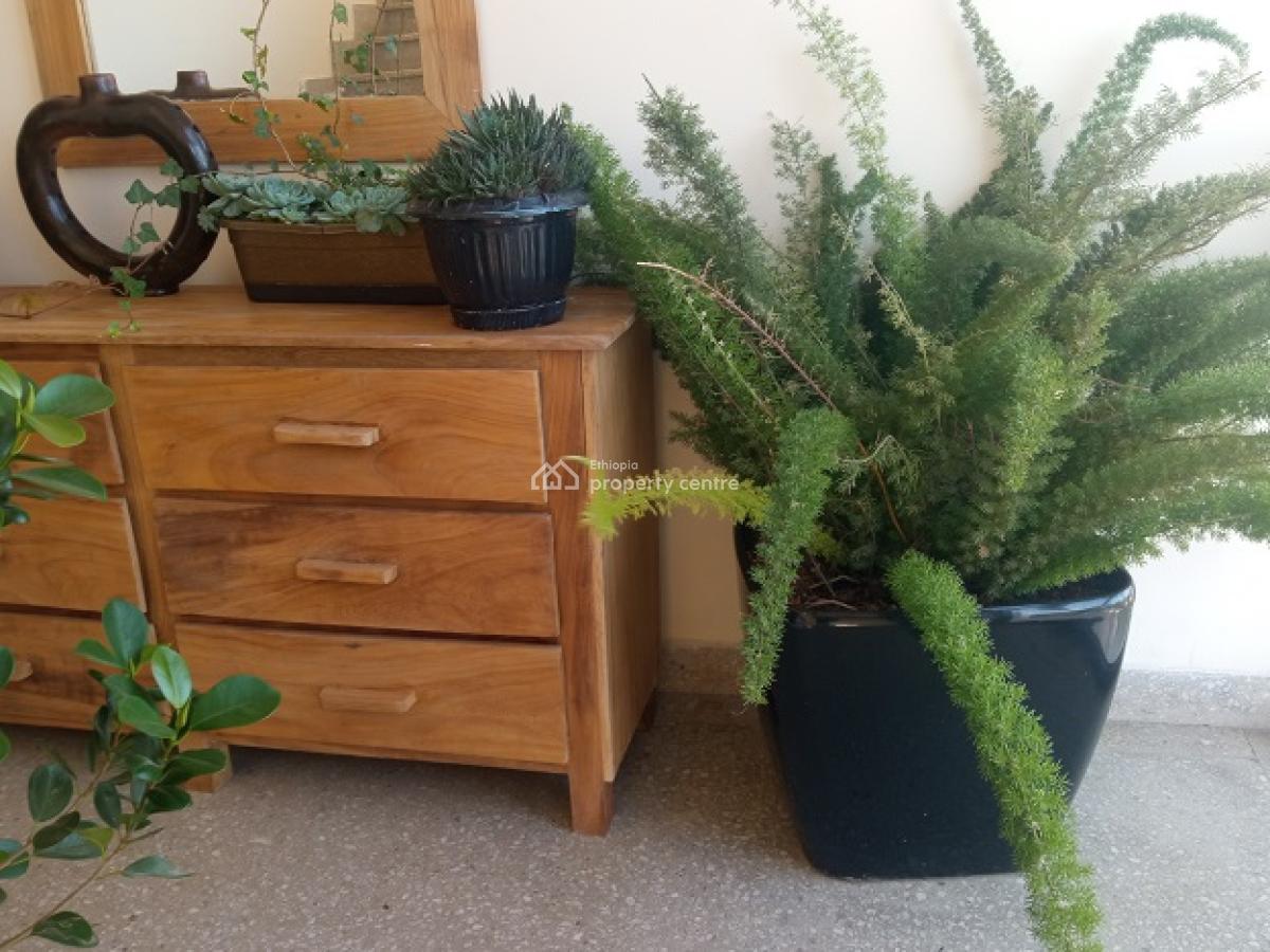 Bright and Fully Furnished 2bd Apartment + Great Garden!, Bole, Addis Ababa, Apartment for Rent