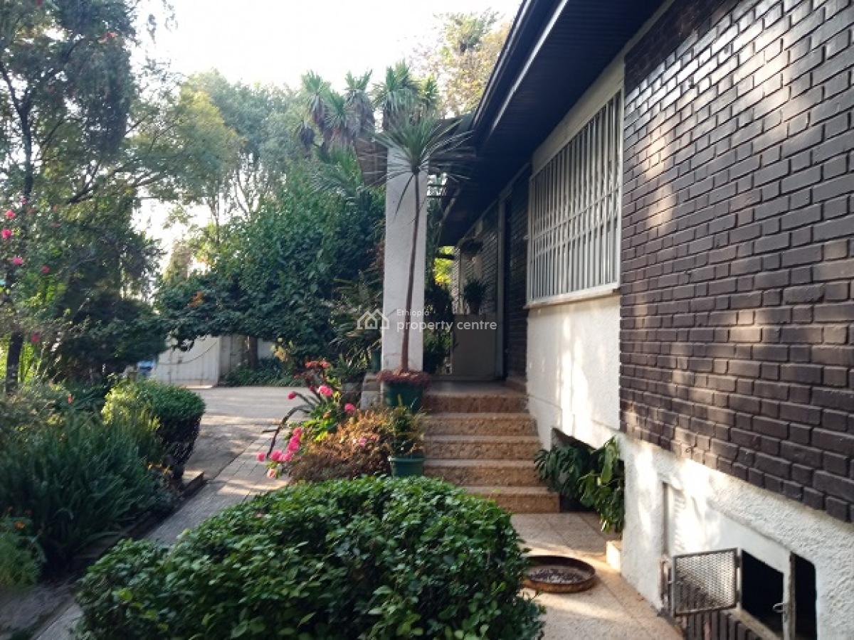 a Small House in a Mini Forest Having Mature Trees!, Yeka, Addis Ababa, House for Rent