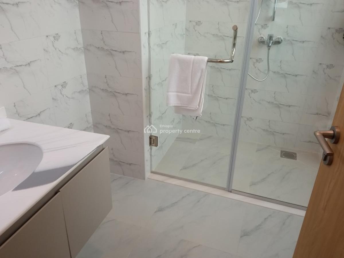 Most Luxurious, High End Apartments with a Swimming Pool, Bole, Addis Ababa, Apartment for Rent