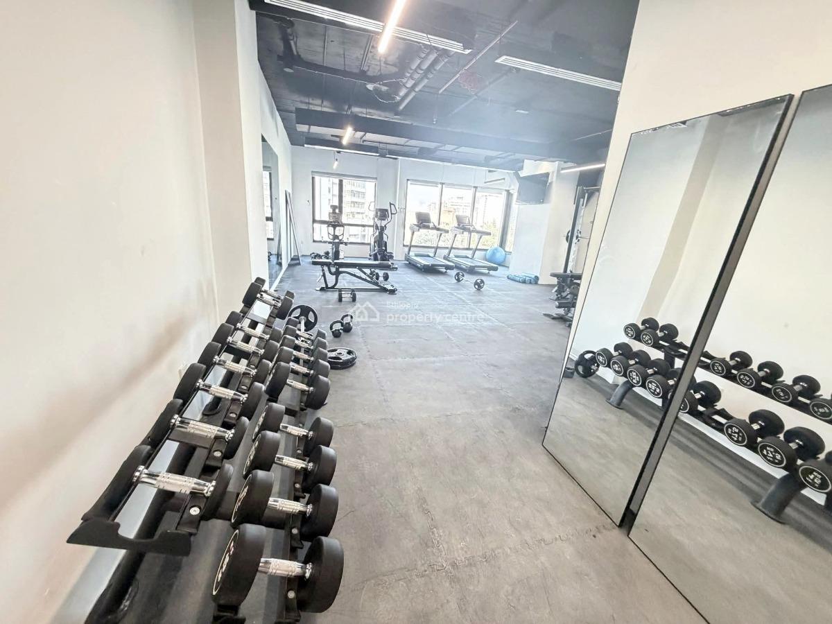 New Modern 1-bedroom Furnished Apartment -- Bole, Bole, Addis Ababa, Apartment for Rent