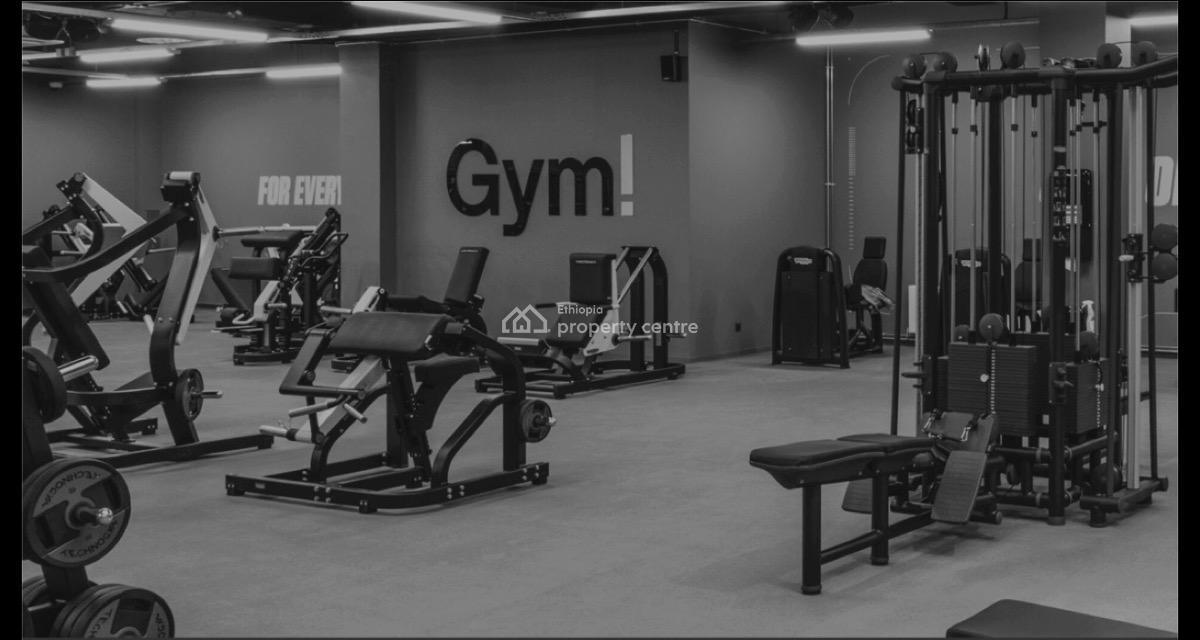 Real Estate Apartment Houses with Excellent Amenities, Shola / Dema Hope Real Estate, Yeka, Addis Ababa, Apartment for Sale