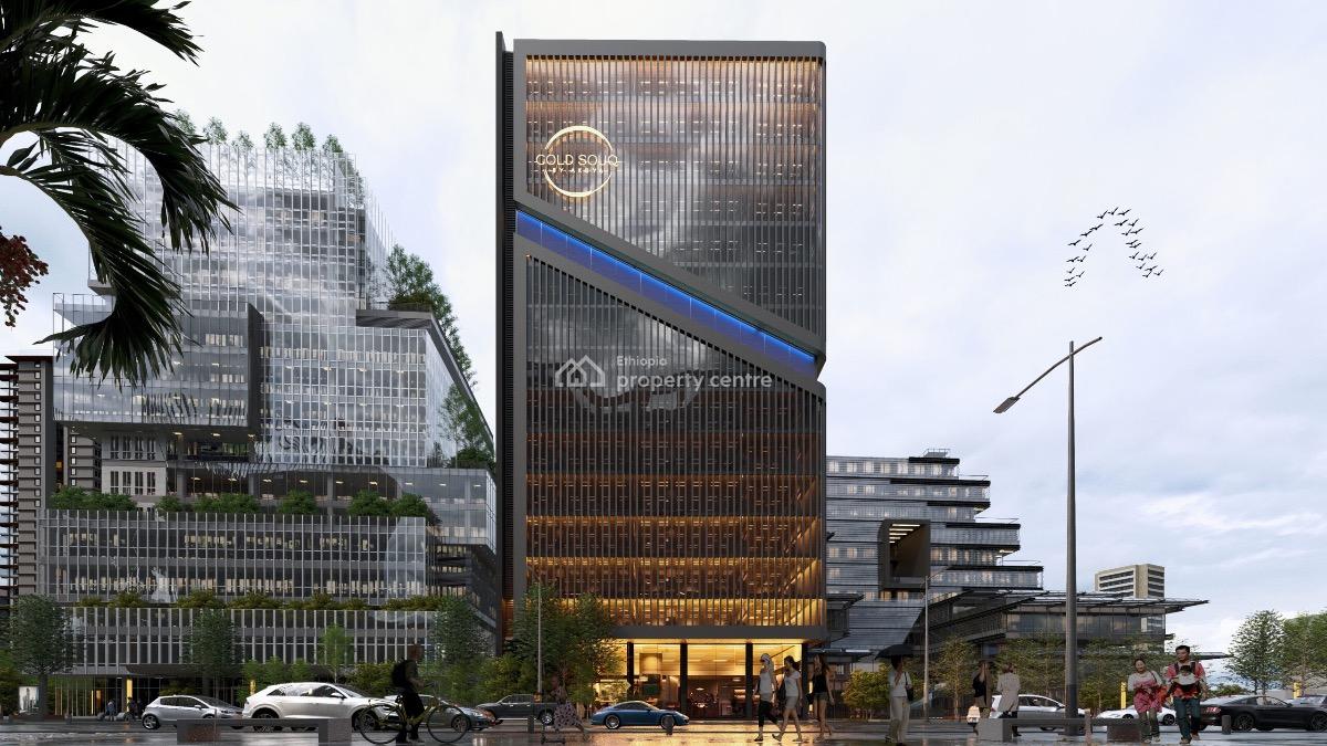 Profitable Real Estate Opportunity in Addis Ababa  Prime Location, Arat Kilo / Akoya Properties, Arada, Addis Ababa, Shop for Sale