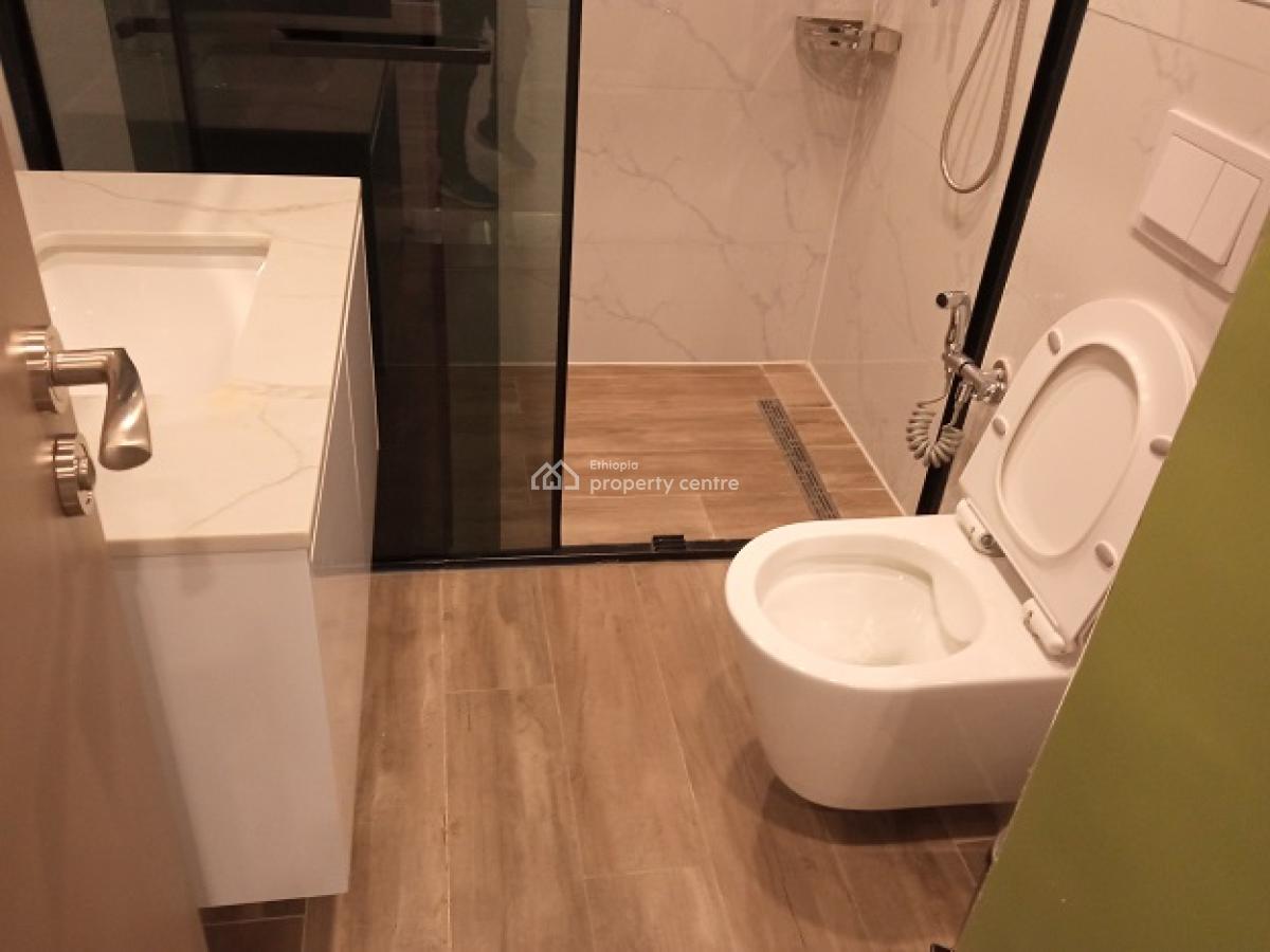 a Marvelous and Fully Furnished 3bd Apartment, Bole., Bole, Addis Ababa, Apartment for Rent