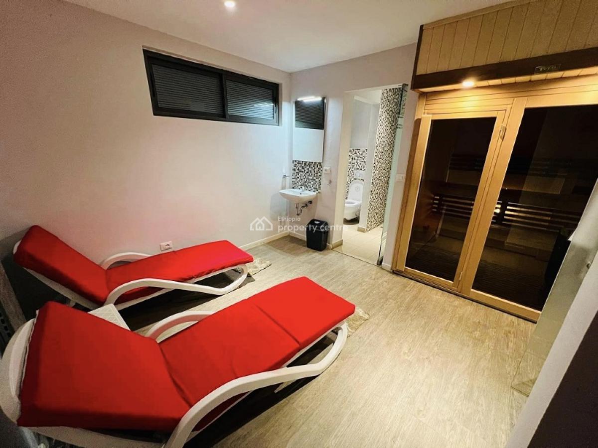 an Exclusive and a Rare Find 3 Bed Room Fully Furnished  Apartment!, Bole, Addis Ababa, Apartment for Rent