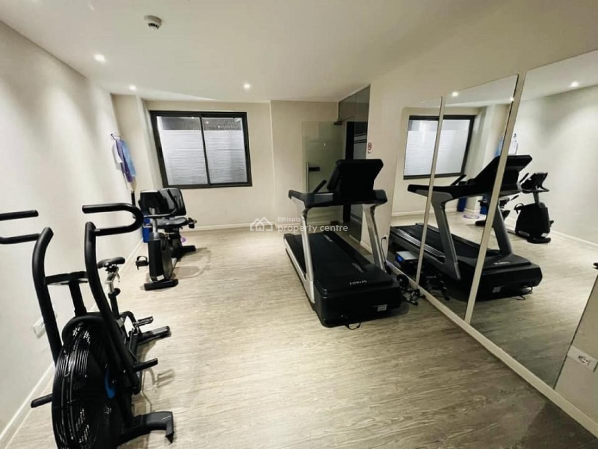 an Exclusive and a Rare Find 3 Bed Room Fully Furnished  Apartment!, Bole, Addis Ababa, Apartment for Rent