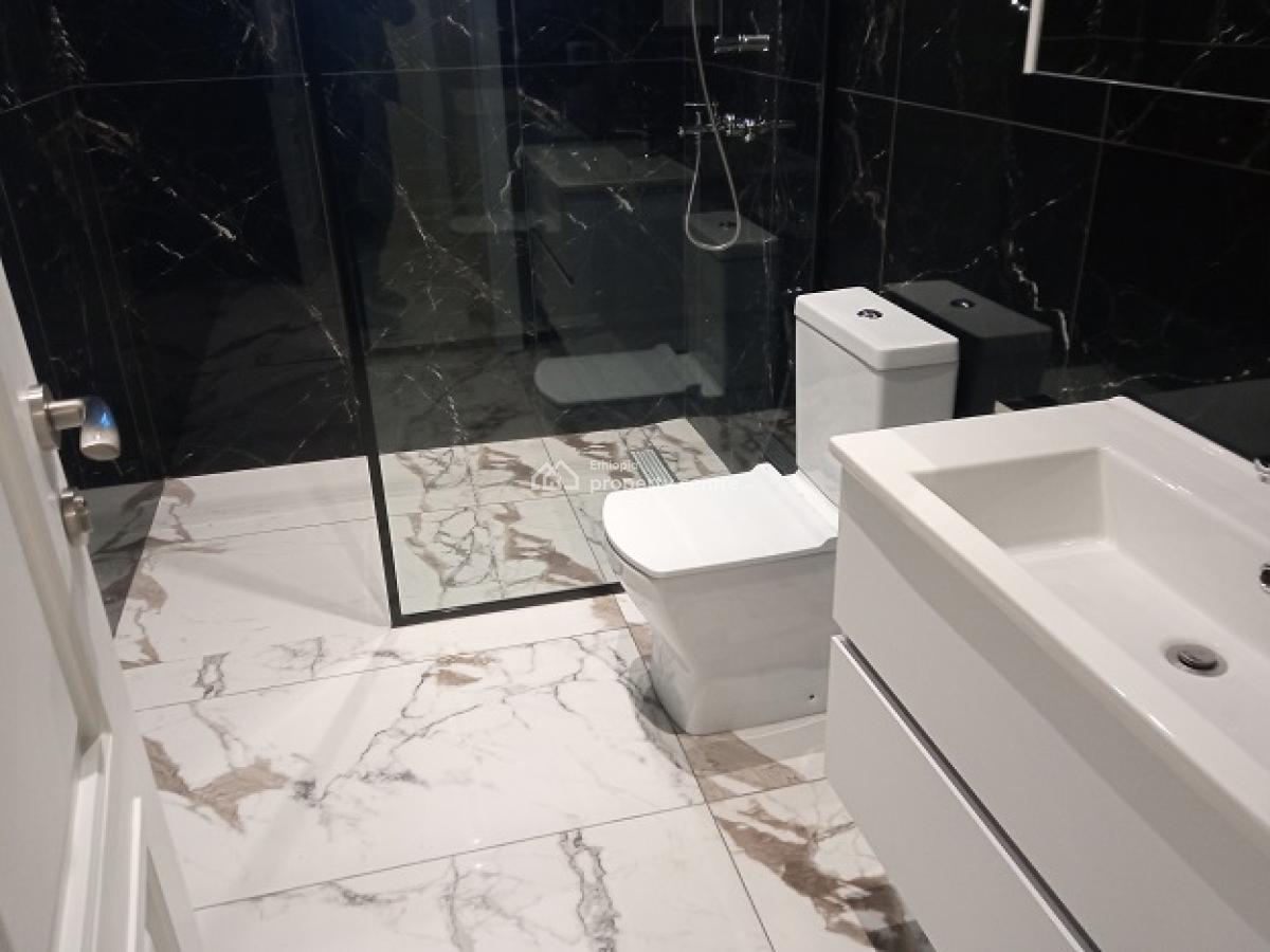 Very Bright, New, High Quality and Fully Furnished 3bd Apartment!, Bole, Addis Ababa, Apartment for Rent