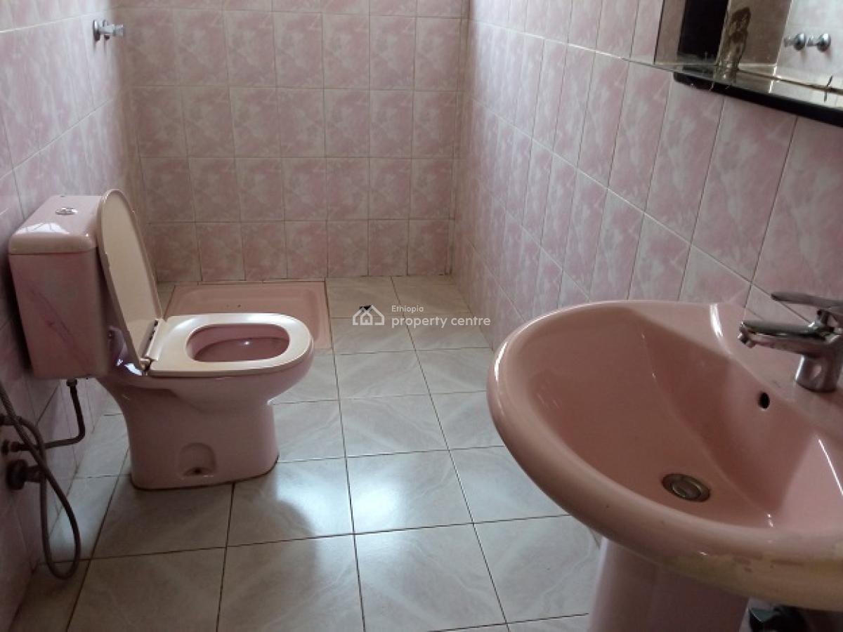 (old + Great) Villa, (front + Back) Garden, at Megenagna., Bole, Addis Ababa, House for Rent