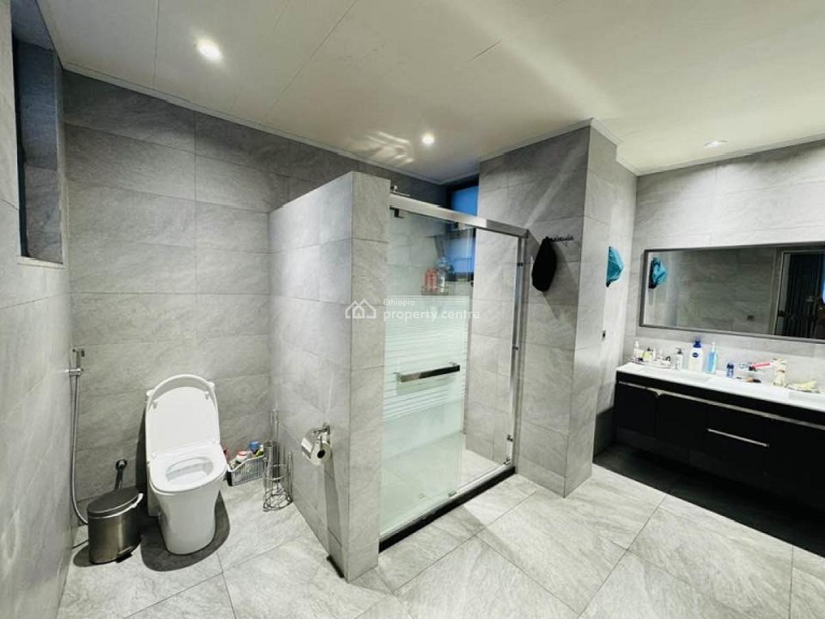 Well-lighted,brilliantly Completed Apt, Close By Old Airport (near Au), Nifas Silk-lafto, Addis Ababa, Apartment for Rent