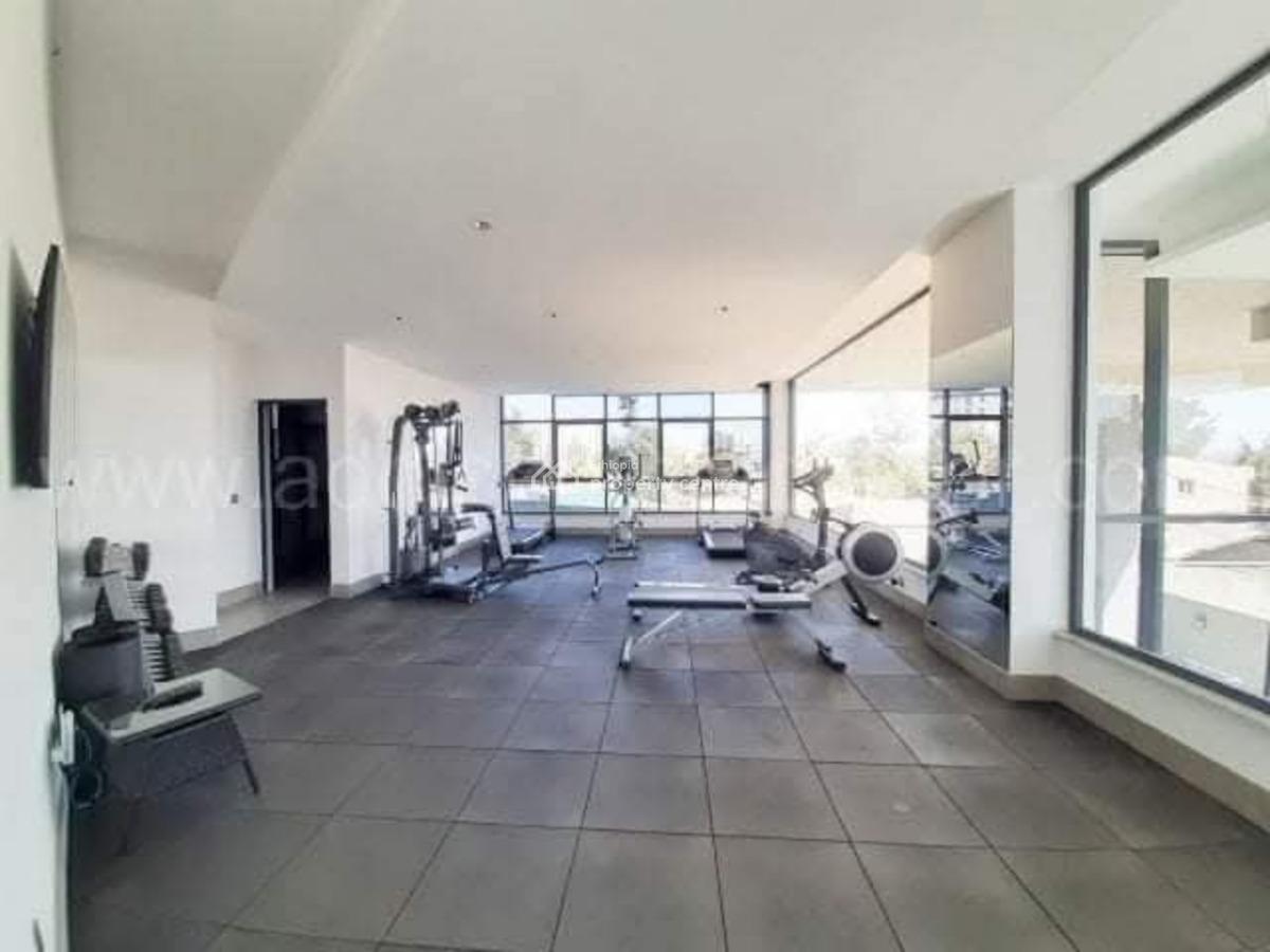 Luxurious Apartment with Stunning City Views  Old Airport, Nifas Silk-lafto, Addis Ababa, Apartment for Rent