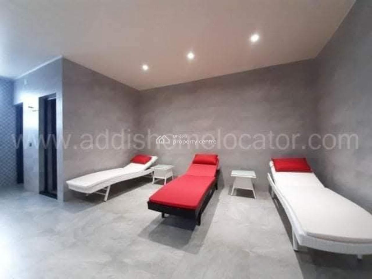 Luxurious Apartment with Stunning City Views  Old Airport, Nifas Silk-lafto, Addis Ababa, Apartment for Rent