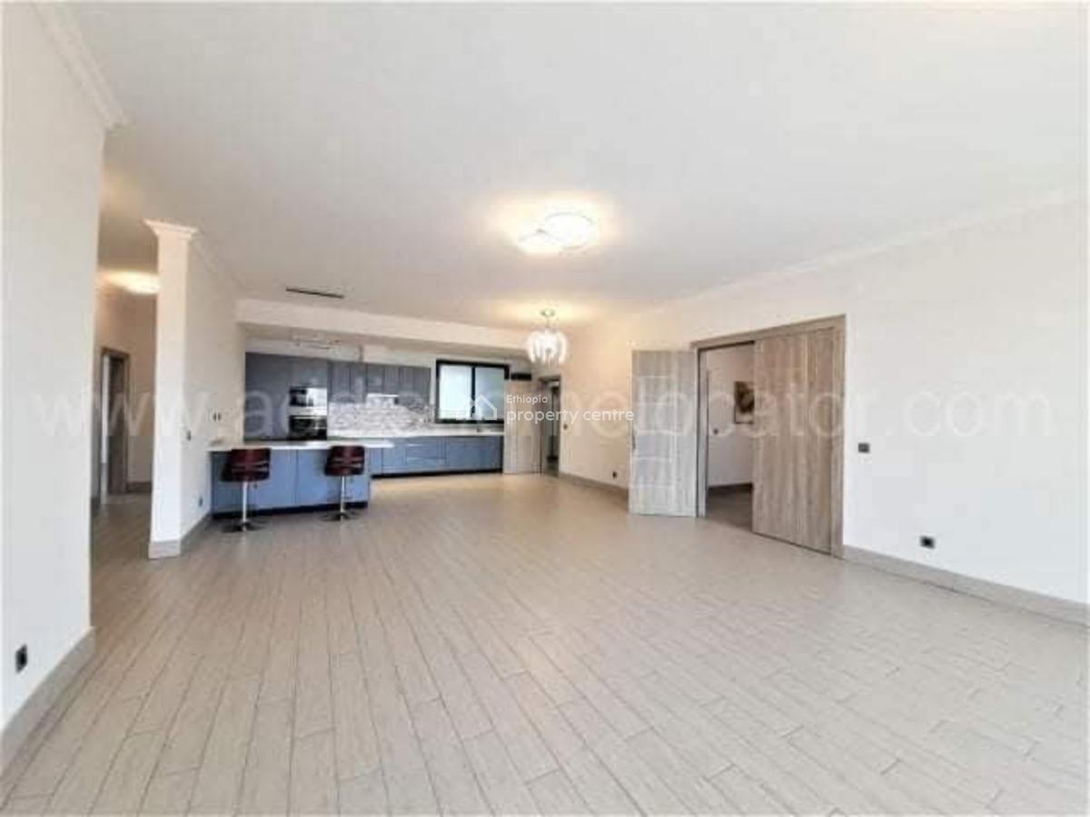 Luxurious Apartment with Stunning City Views  Old Airport, Nifas Silk-lafto, Addis Ababa, Apartment for Rent