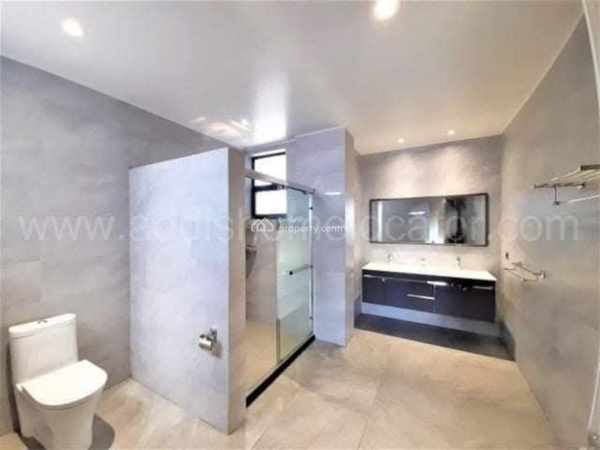 Luxurious Apartment with Stunning City Views  Old Airport, Nifas Silk-lafto, Addis Ababa, Apartment for Rent