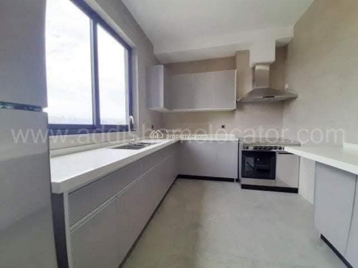 Luxurious Apartment with Stunning City Views  Old Airport, Nifas Silk-lafto, Addis Ababa, Apartment for Rent