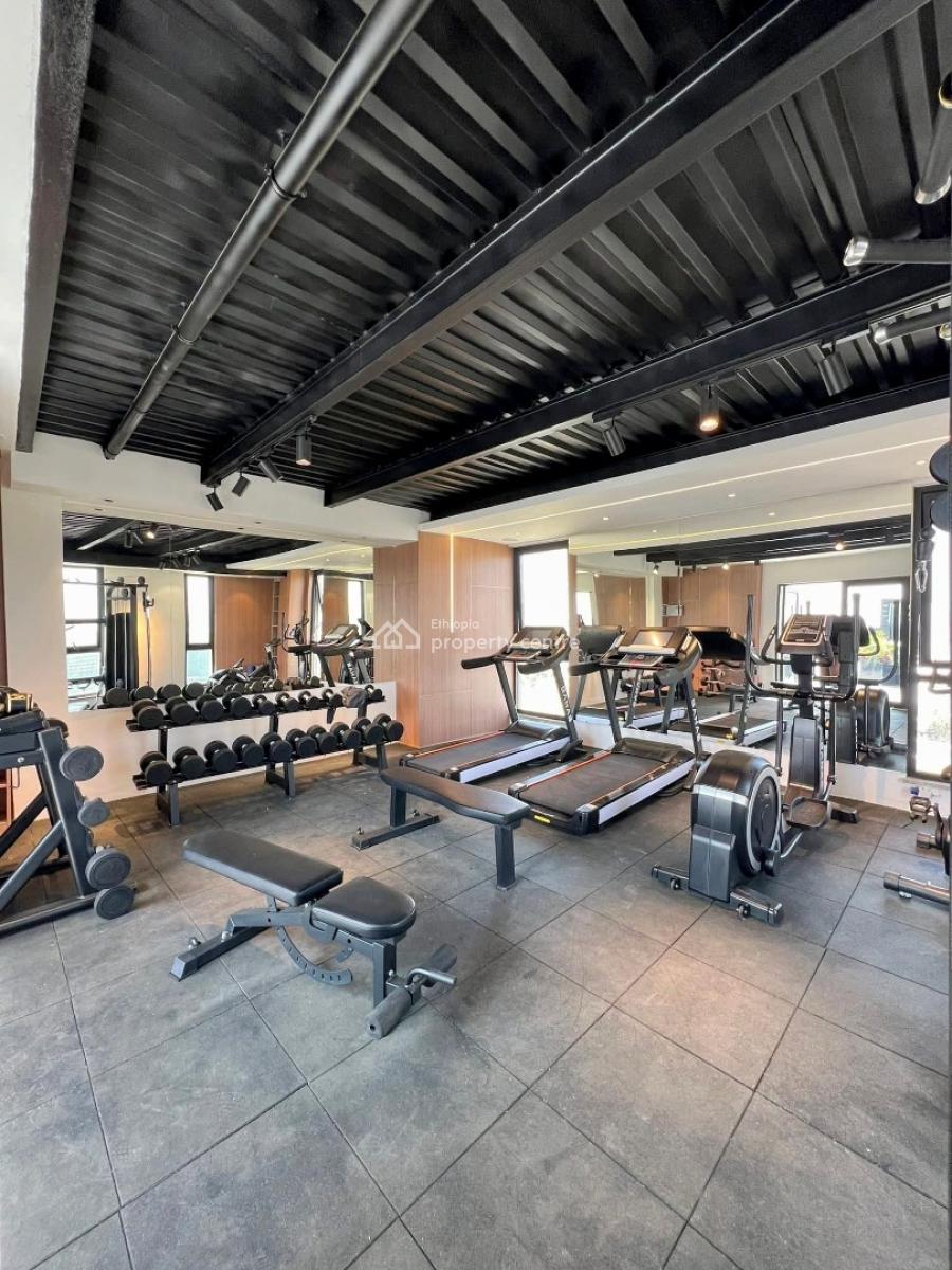 Looking for a Stunning, Move-in Ready Apartment Near Canada Embassy, Nifas Silk-lafto, Addis Ababa, Apartment for Rent