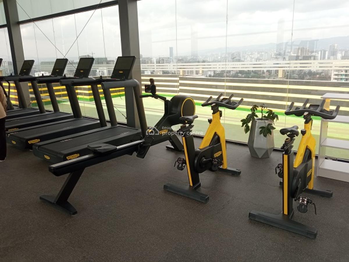 Most Luxurious, High End Apartments with a Swimming Pool, Bole, Addis Ababa, Apartment for Rent