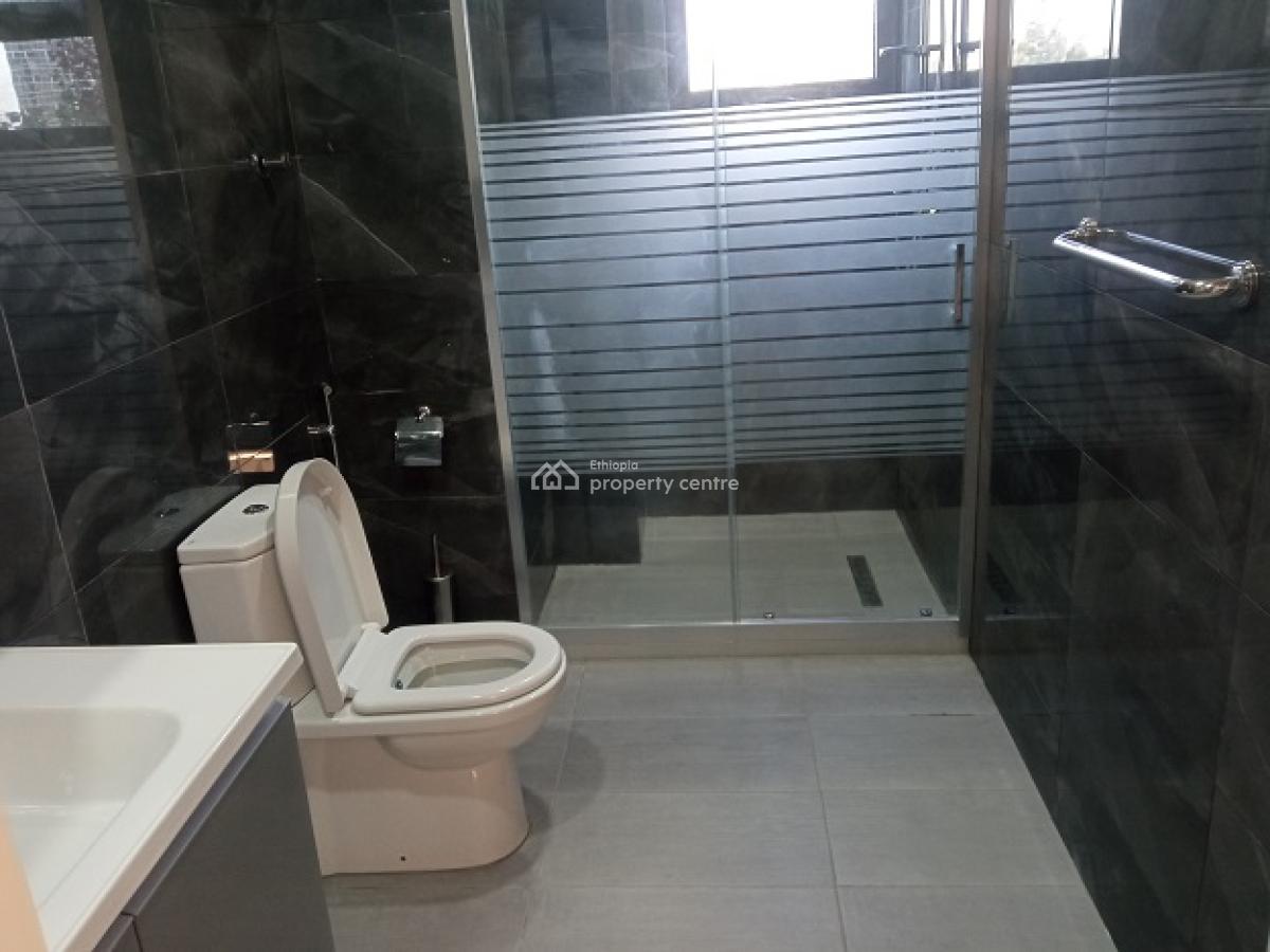 Top Ranked, New and The Most Luxurious Apartment, El849., Bole, Addis Ababa, Apartment for Rent