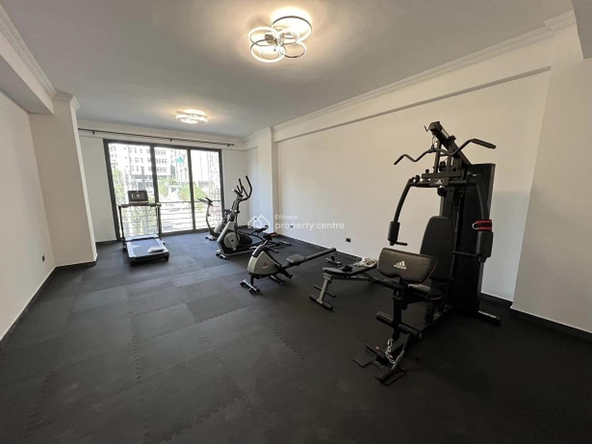 Top Ranked, New and The Most Luxurious Apartment, El849., Bole, Addis Ababa, Apartment for Rent